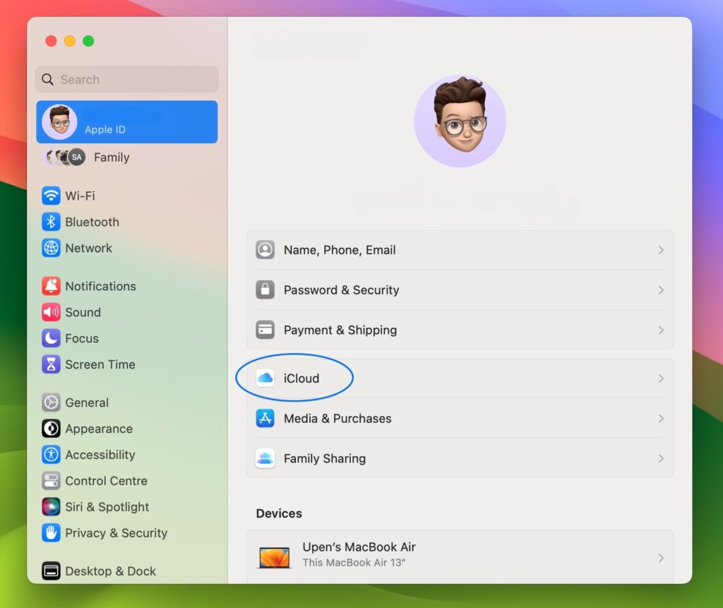 iCloud Access from System Setting